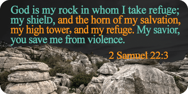 2 Samuel 22 3