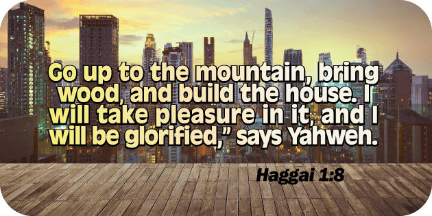 Haggai 1 8