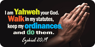 Ezekiel 20 19