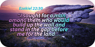 Ezekiel 22 30