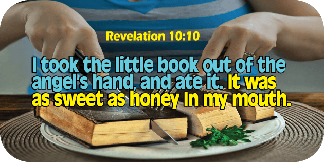 Revelation 10 10
