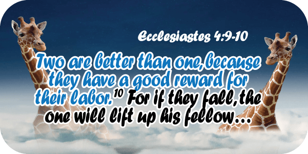 Ecclesiastes 4 9 10