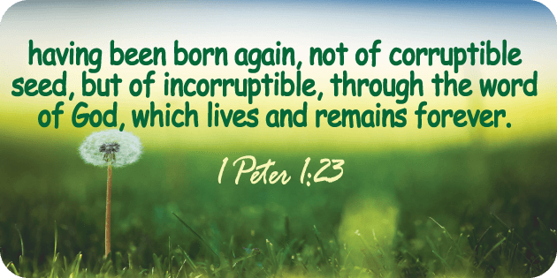 1 Peter 1 23