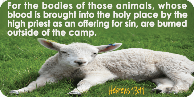 Hebrews 13 11