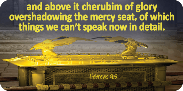 Hebrews 9 5