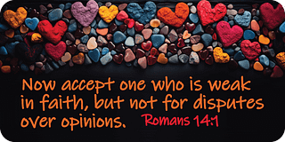 Romans 14 1