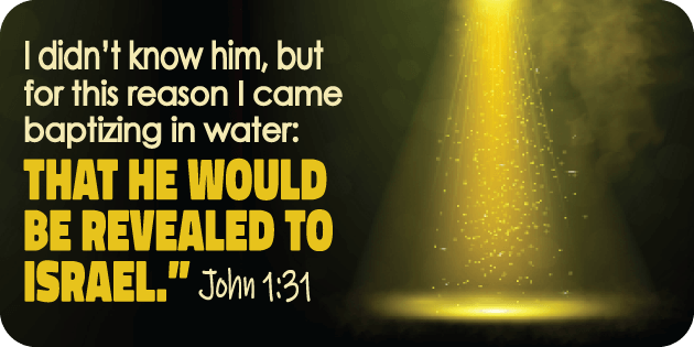 John 1 31