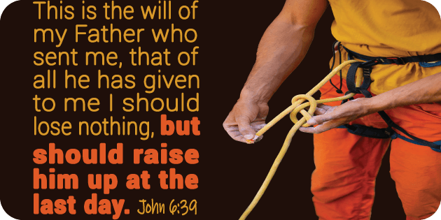 John 6 39