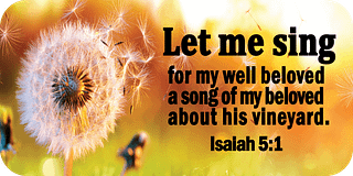 Isaiah 5 1