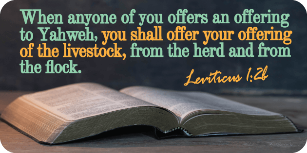 Leviticus 1 2b