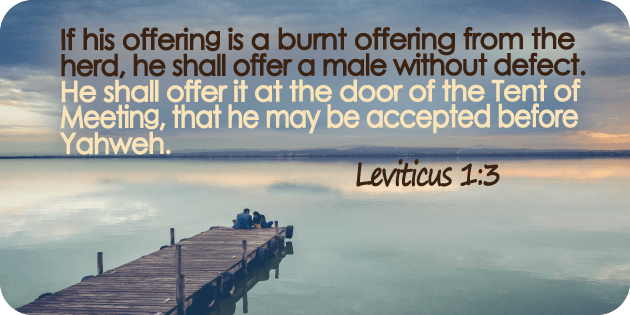 Leviticus 1 3
