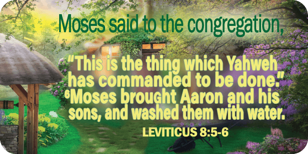Leviticus 8 5 6