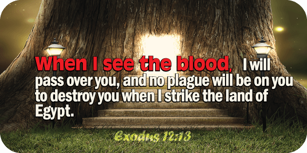 Exodus 12 13