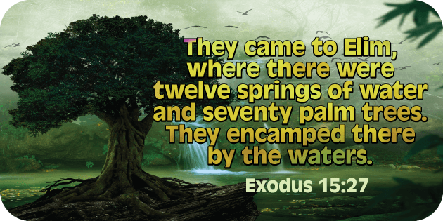 Exodus 15 27