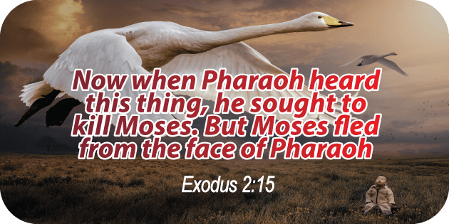 Exodus 2 15