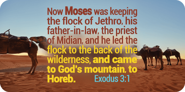 Exodus 3 1