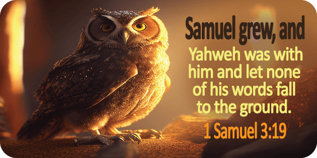 1 Samuel 3 19