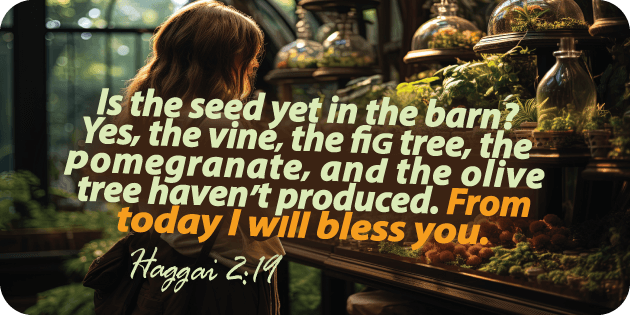 Haggai 2 19