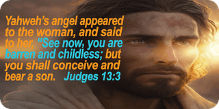 Judges 13 3