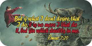 Romans 7 20