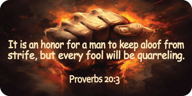 Proverbs 20 3