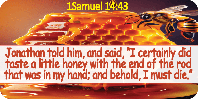 1 Samuel 14 43