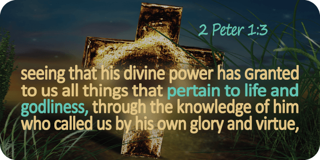 2 Peter 1 3