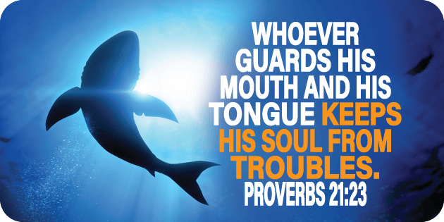 Proverbs 21 23