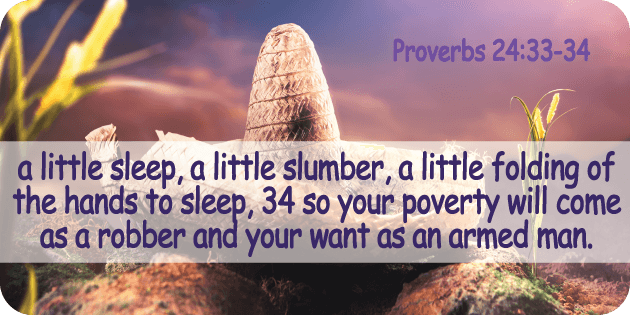 Proverbs 23 33 34