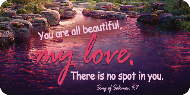 Song of Solomon 4 7