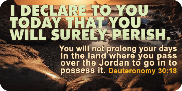 Deuteronomy 30 18