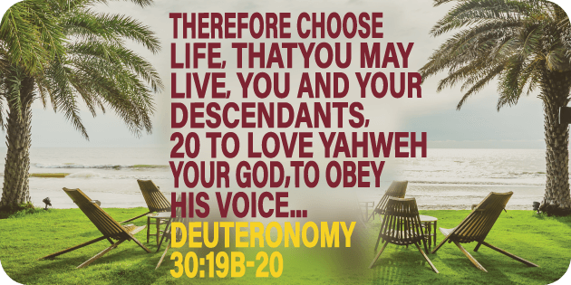 Deuteronomy 30 19b 20