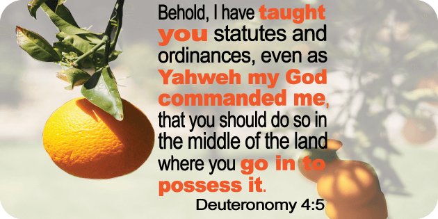 Deuteronomy 4 5