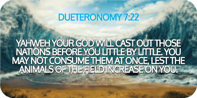 Deuteronomy 7 22