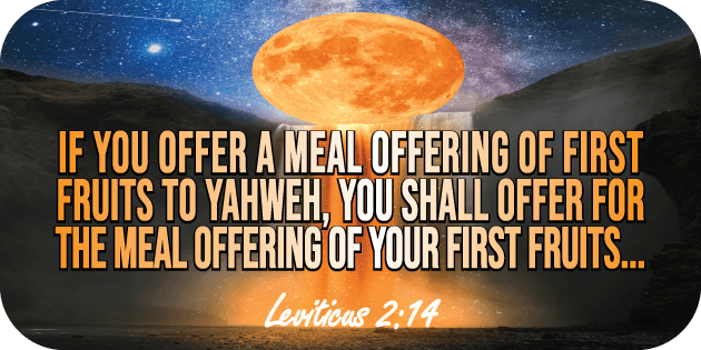 Leviticus 2 14