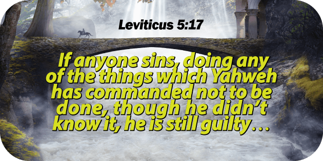 Leviticus 5 17