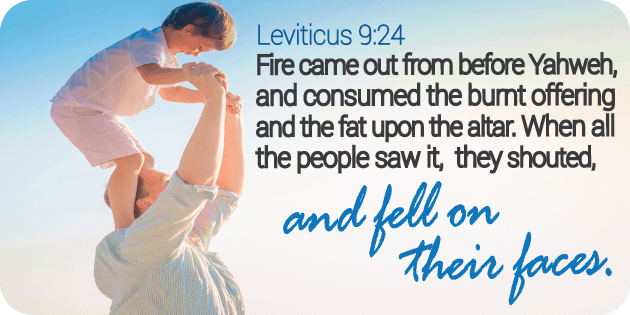Leviticus 9 24