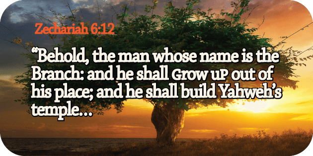 Zechariah 6 12