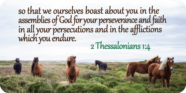 2 Thessalonians 1 4