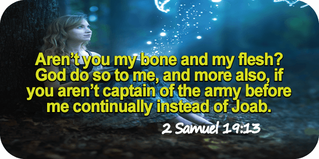 2 Samuel 19 13