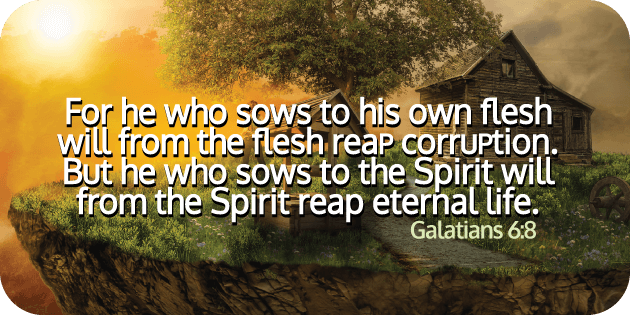 Galatians 6 8