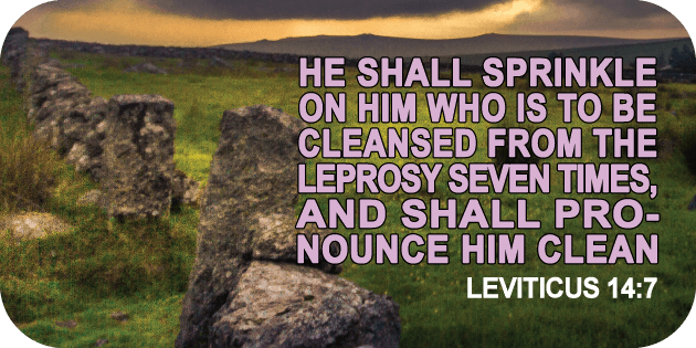 Leviticus 14 7
