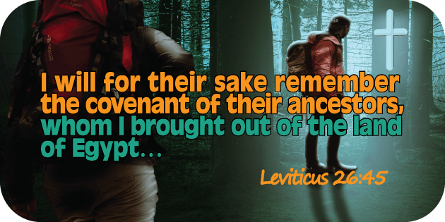 Leviticus 26 45
