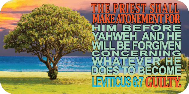 Leviticus 6 7