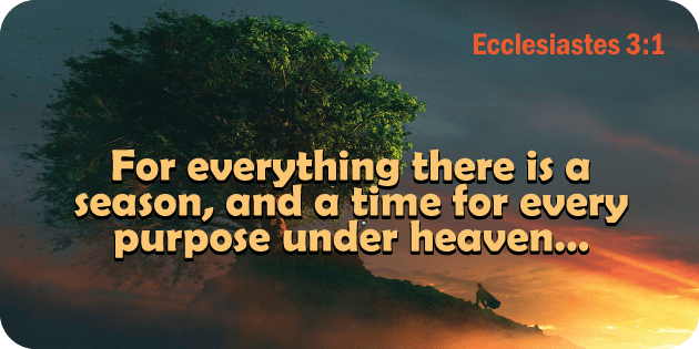 Ecclesiastes 3 1