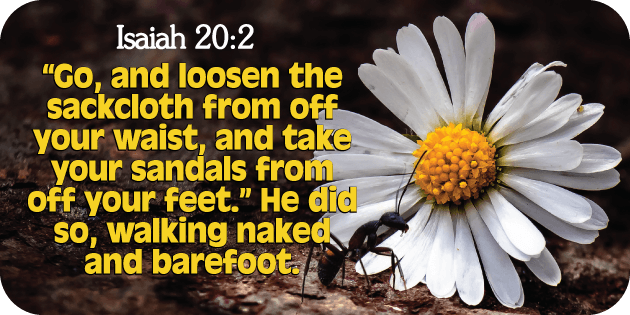 Isaiah 20 2