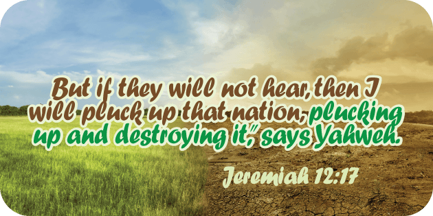 Jeremiah 12 17