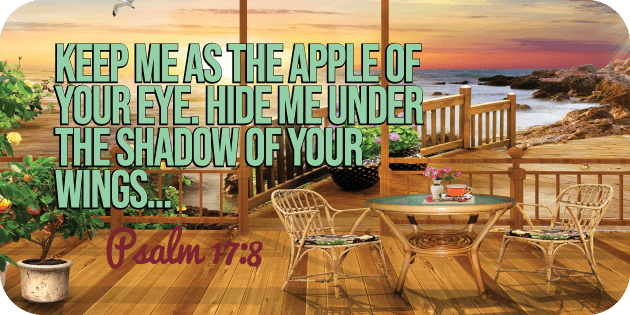 Psalm 17 8