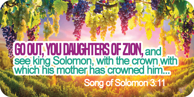 Song of Solomon 3 9