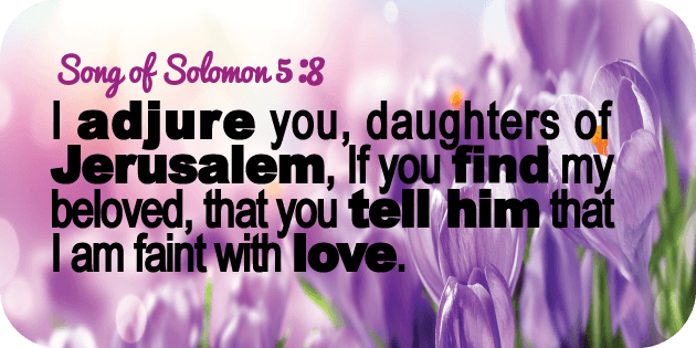 Song of Solomon 5 8